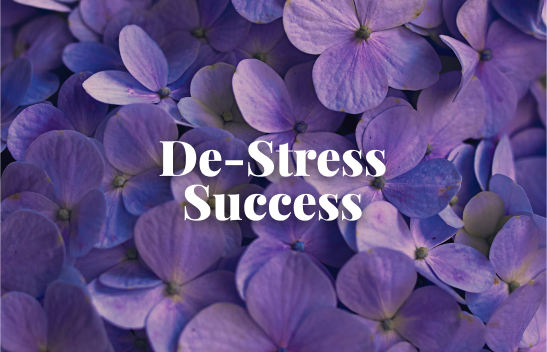 Destress Success