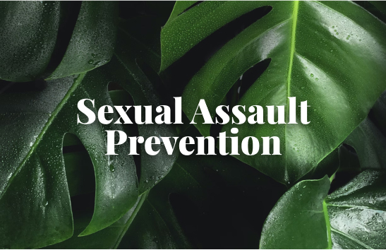 Sexual Assault Prevention